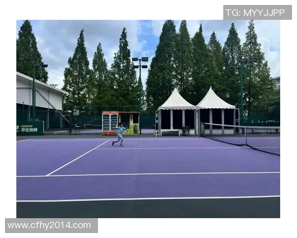 南京网球队的转型之路：从传统强队到现代化精英团队的蜕变与挑战